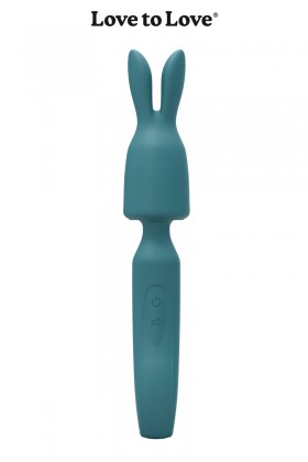 Stimulateur Wand R-evolution