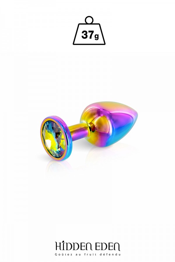 Plug bijou aluminium Rainbow XS - Hidden Eden