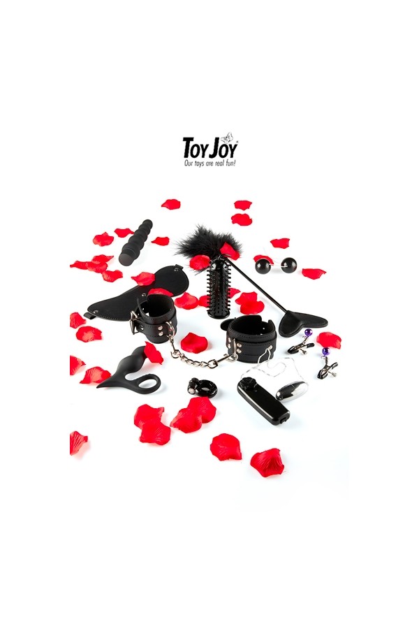 Lovetoy starter kit