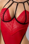 Body ouvert Akita