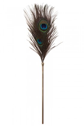 Plumeau à caresses Peacock Tickler - Taboom