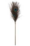 Plumeau à caresses Peacock Tickler - Taboom
